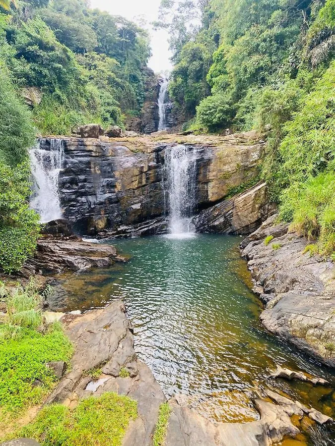 The Arbour Hotell Kandy
